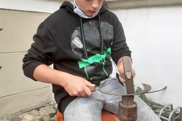 Akce Plzeňské dvorky