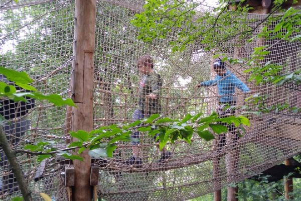 Výlet do ZOO Plzeň