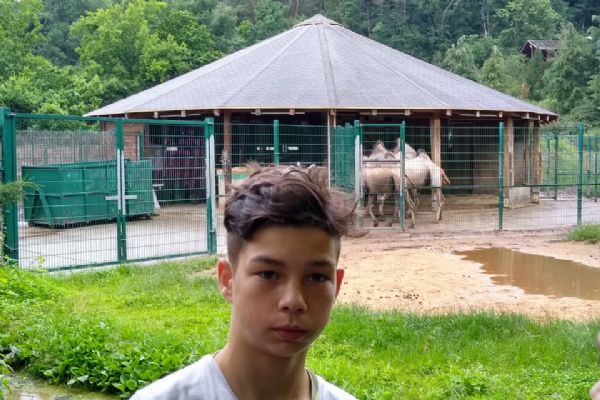 Výlet do ZOO Plzeň