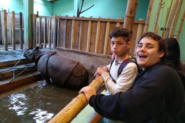 Výlet do ZOO Plzeň