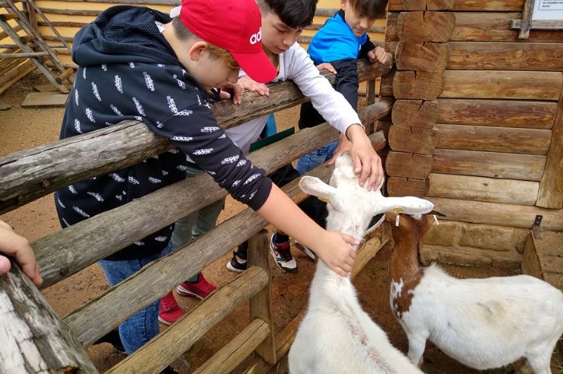 Výlet do ZOO Plzeň