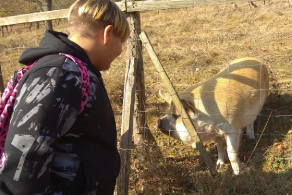 Výlet na hrady Žebrák a Točník