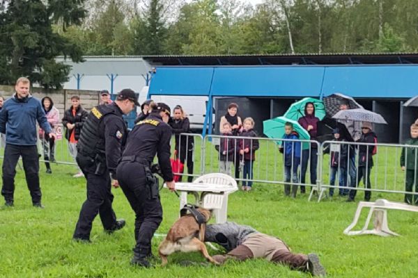 Cestářské rodeo v Plzni