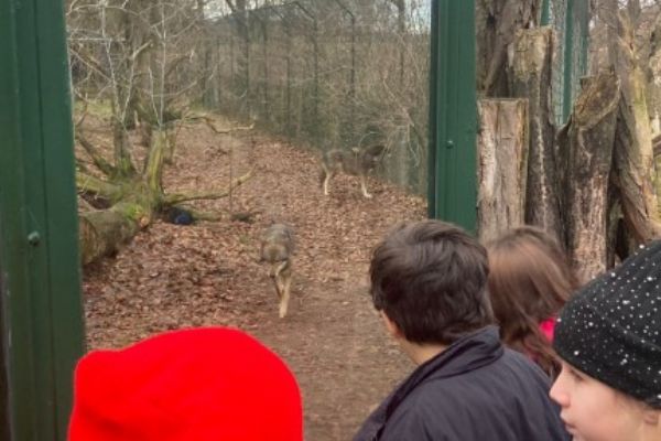 Výlet do pražské ZOO