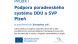 Podpora poradenského systému DDÚ a SVP Plzeň