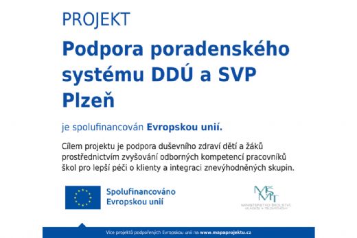 Podpora poradenského systému DDÚ a SVP Plzeň Podpora poradenského systému DDÚ a SVP Plzeň